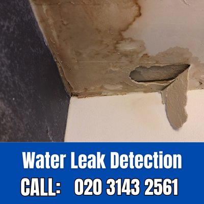 Expert Water Leak Detection Services in Fulham | Fulham Leak Detection